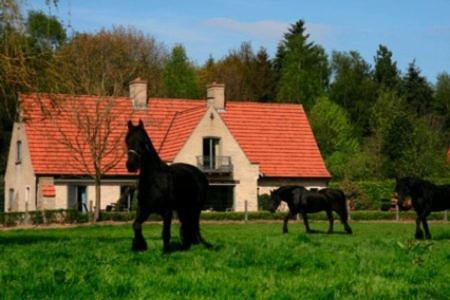 B&B Heerlijkhyd Hertsberge Kültér fotó