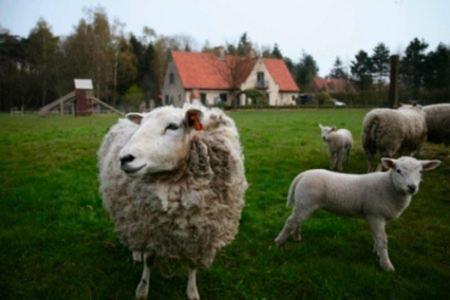 B&B Heerlijkhyd Hertsberge Kültér fotó